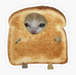 Toast's stuff