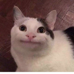 سبونج بوب و بسيط