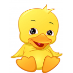 Group Duckyy