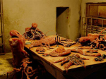 scp site roleplay scp 610 cult