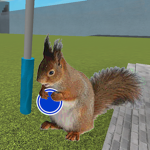 Squirrels Netball