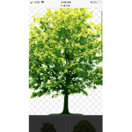 Family giveaway Robux
