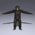 Monkey_Mayhem