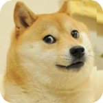 The Doge Peeps yo yo yo