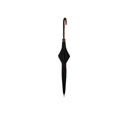 Closed Umbrella