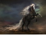 horse animal care
