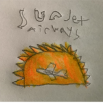 Sun jet group