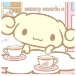sunny sanrio’s
