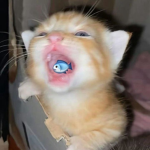 kzyy