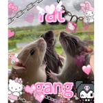 {~*The rat gang*~}