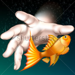 drown fish today