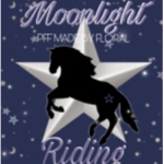 Moonlight riding