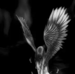 CoZmic_SinZ