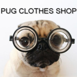 Pug Clothes Shop Group Thumbnail