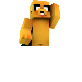 capture  the flag 