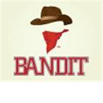 Bandits Forever