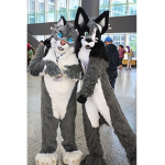 furry.slayers