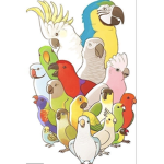 PARROT KREW!!!
