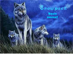 RueDream/Snowpack