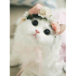 CINNAMOROLL CINNAMON <3