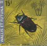 beetlepuppy Group Thumbnail