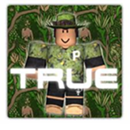 True Records® | Festivals