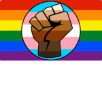 LGBTQIA+ Supporters