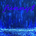 Funny's Clothing Group$