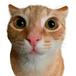 Custom Animation Packs