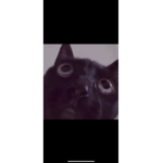 I_H_S