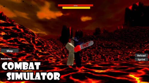 Combat Simulator