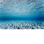 BlueSea