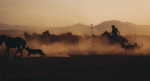 The Dustbound Oath