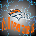 broncos rule!! and so do pheonix suns