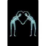 فيروز