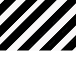 Cryptic Anonymous