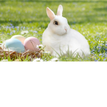 easter army
