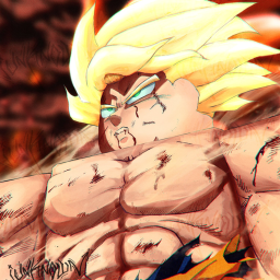 Budokai Showdown icon