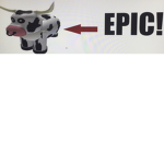Cows are EPIC