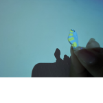 fishx