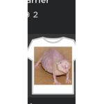 THE PAULERZ