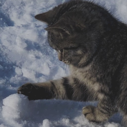 ❄