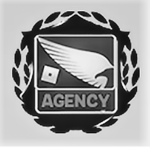 Stealth Intervention Agency
