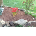 Sprinkles’s magic garden