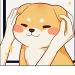 Sadoki and Shiba inu(s)