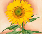 flowerslovefana