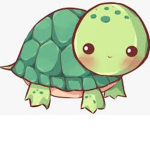 TURTLES :>