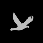 | Nex Corporation