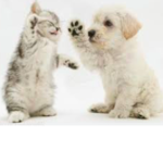 Friends4life:)