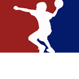 Dodgeball Arena